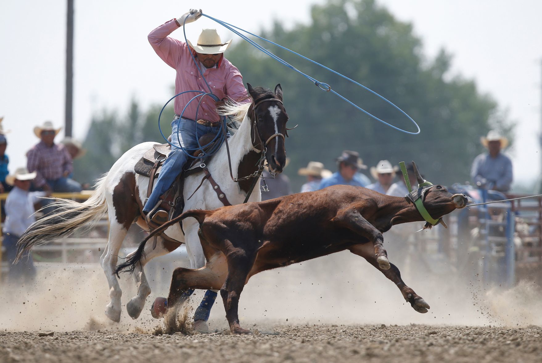 100th Anniversary of Crow Fair